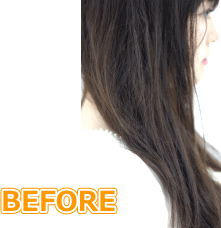 ヘアビューザー＆レプロナイザーの使用前