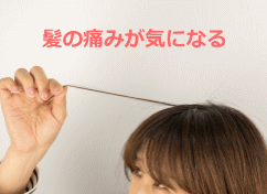 髪の痛みが気になる